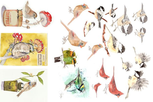Catalogue of Birds - DEJA VU BOUTIK