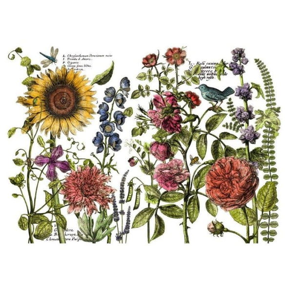 Transfert décoratif Journal des botanistes (24×33) | TRANSFERTS | $40.00