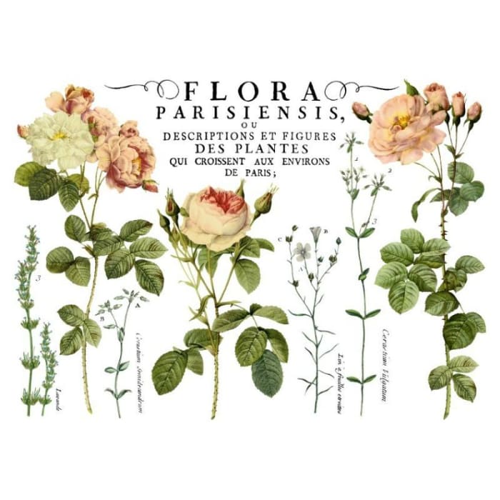 Flora Parisiensis Decor Transfer (24×33) | TRANSFERS | $40.00